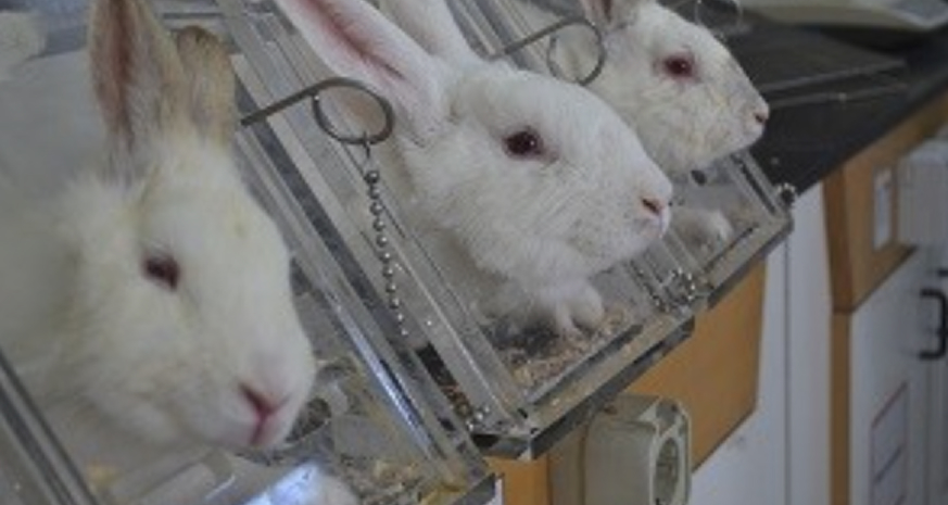 Screenshot 2025-03-12 at 3.53.26 AM 2